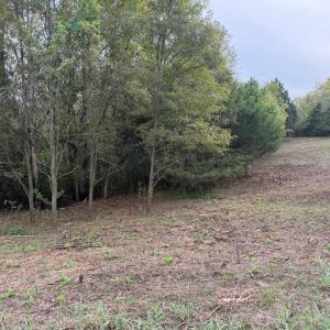 Photo #4 of Moneta Road, Moneta, VA 2.3 acres