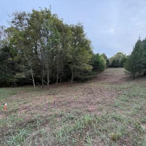 Photo #1 of Moneta Road, Moneta, VA 2.3 acres