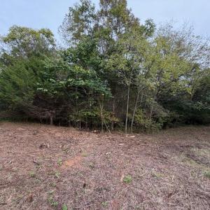 Photo #3 of Moneta Road, Moneta, VA 2.3 acres