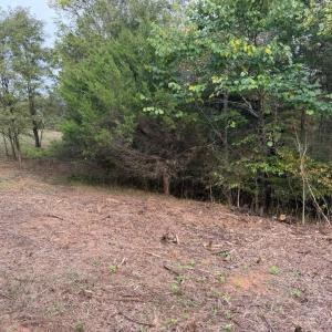 Photo #5 of Moneta Road, Moneta, VA 2.3 acres