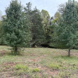 Photo #3 of Moneta Road, Moneta, VA 2.2 acres