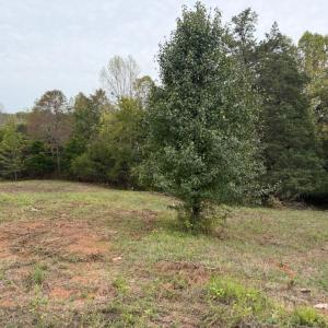 Photo #5 of Moneta Road, Moneta, VA 2.2 acres