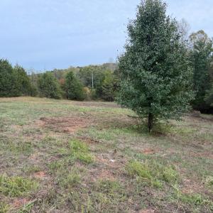 Photo #2 of Moneta Road, Moneta, VA 2.2 acres