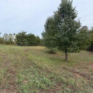 Photo #4 of Moneta Road, Moneta, VA 2.2 acres