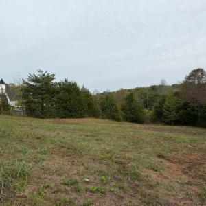 Photo #1 of Moneta Road, Moneta, VA 2.2 acres