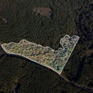 Photo #1 of Walkers Mountain Road, Arrington, VA 10.0 acres