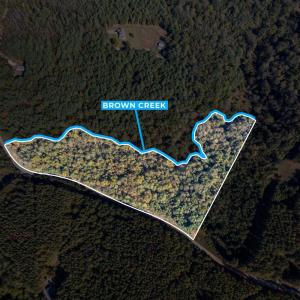 Photo #2 of Walkers Mountain Road, Arrington, VA 10.0 acres