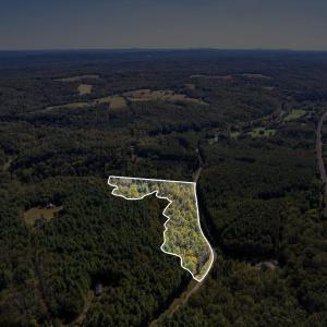 Photo #12 of Walkers Mountain Road, Arrington, VA 10.0 acres