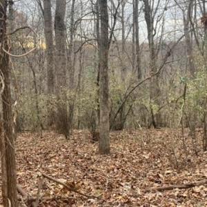 Photo #4 of 1147 Stratford Road, Lynchburg, VA 9.5 acres