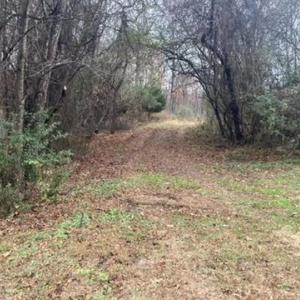 Photo #3 of 1147 Stratford Road, Lynchburg, VA 9.5 acres