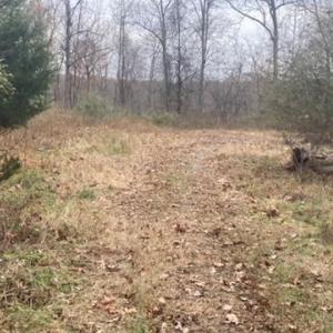 Photo #7 of 1147 Stratford Road, Lynchburg, VA 9.5 acres