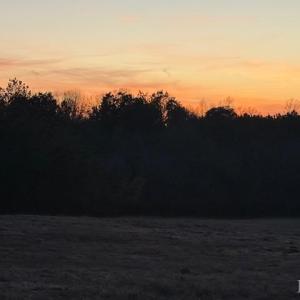 Photo #24 of Piney Mountain Road, Appomattox, VA 23.2 acres