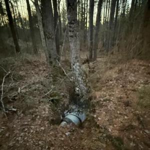 Photo #13 of Piney Mountain Road, Appomattox, VA 23.2 acres