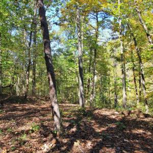 Photo #8 of 2 Mill Pond Road, Appomattox, VA 2.5 acres