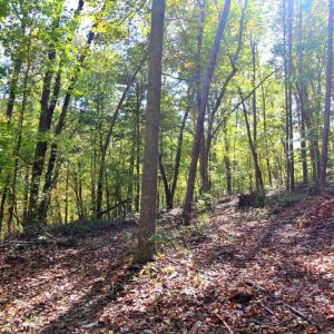 Photo #3 of 2 Mill Pond Road, Appomattox, VA 2.5 acres
