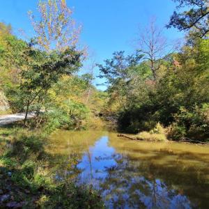 Photo #4 of 3 Mill Pond Road, Appomattox, VA 1.9 acres