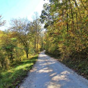 Photo #4 of 5 Mill Pond Road, Appomattox, VA 1.0 acres