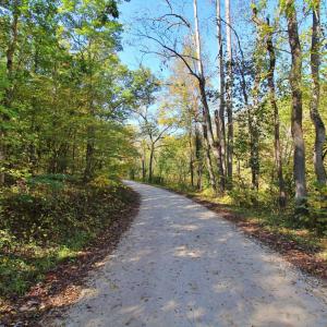 Photo #9 of 5 Mill Pond Road, Appomattox, VA 1.0 acres
