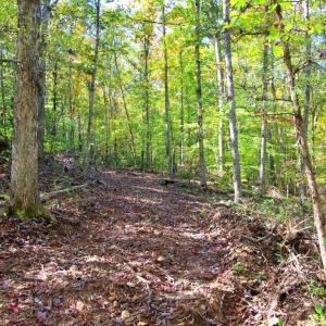 Photo #6 of 6 Mill Pond Road, Appomattox, VA 2.4 acres