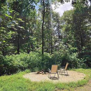Photo #7 of 4445 Red Bird Drive, Standardsville, VA 16.0 acres