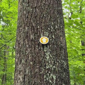 Photo #26 of 4445 Red Bird Drive, Standardsville, VA 16.0 acres