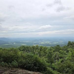 Photo #1 of 4445 Red Bird Drive, Standardsville, VA 16.0 acres
