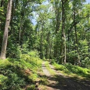 Photo #2 of 4445 Red Bird Drive, Standardsville, VA 16.0 acres