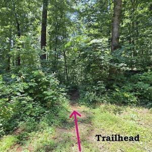 Photo #24 of 4445 Red Bird Drive, Standardsville, VA 16.0 acres