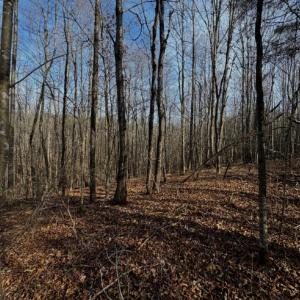 Photo #8 of 769 Darby Road, Pittsville, VA 193.2 acres