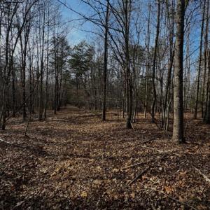 Photo #4 of 769 Darby Road, Pittsville, VA 193.2 acres