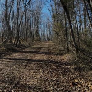 Trails.