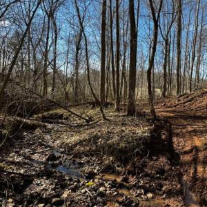Photo #13 of 769 Darby Road, Pittsville, VA 193.2 acres