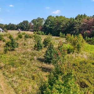 Photo #6 of Long Island Road, Gladys, VA 19.0 acres