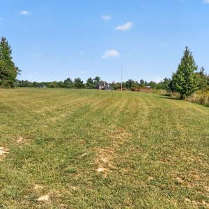 Photo #5 of Long Island Road, Gladys, VA 19.0 acres