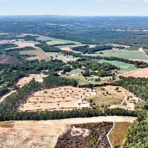Photo #5 of Long Island Road, Gladys, VA 25.2 acres