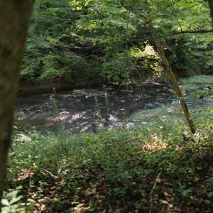 Photo #7 of Hollywood Road, Appomattox, VA 84.4 acres