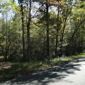 Photo #8 of Hollywood Road, Appomattox, VA 84.4 acres