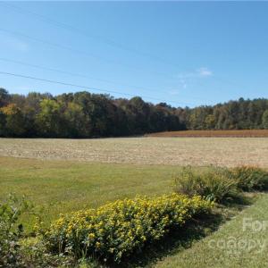 Photo #4 of 109 Brief, Fairview, NC 22.0 acres