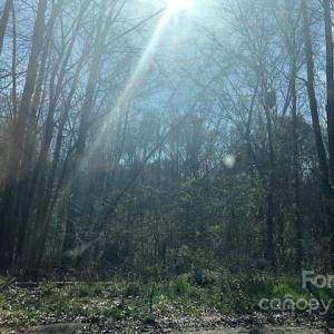 Photo #2 of MURRAY, Chester, SC 3.8 acres