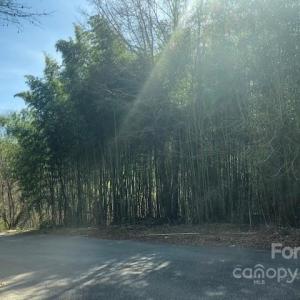 Photo #4 of MURRAY, Chester, SC 3.8 acres