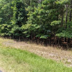 Photo #11 of 129 Plantation, Mount Gilead, NC 4.4 acres