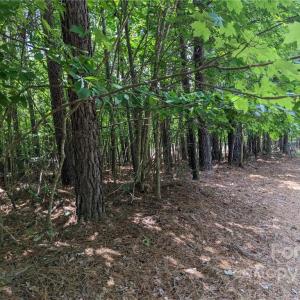 Photo #5 of 129 Plantation, Mount Gilead, NC 4.4 acres