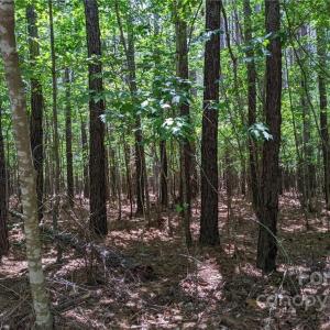 Photo #4 of 129 Plantation, Mount Gilead, NC 4.4 acres
