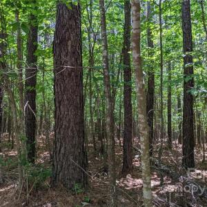 Photo #7 of 129 Plantation, Mount Gilead, NC 4.4 acres