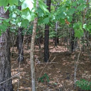 Photo #10 of 129 Plantation, Mount Gilead, NC 4.4 acres