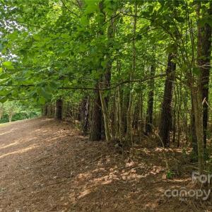 Photo #6 of 129 Plantation, Mount Gilead, NC 4.4 acres