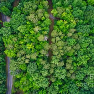 Photo #8 of 650 Union, Matthews, NC 11.6 acres