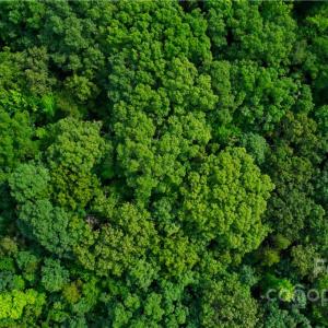 Photo #7 of 650 Union, Matthews, NC 11.6 acres