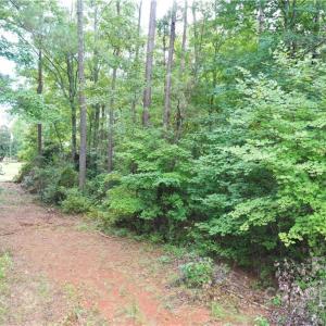 Photo #8 of TBD Moore, Wadesboro, NC 0.9 acres