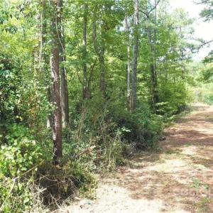 Photo #7 of TBD Moore, Wadesboro, NC 0.9 acres